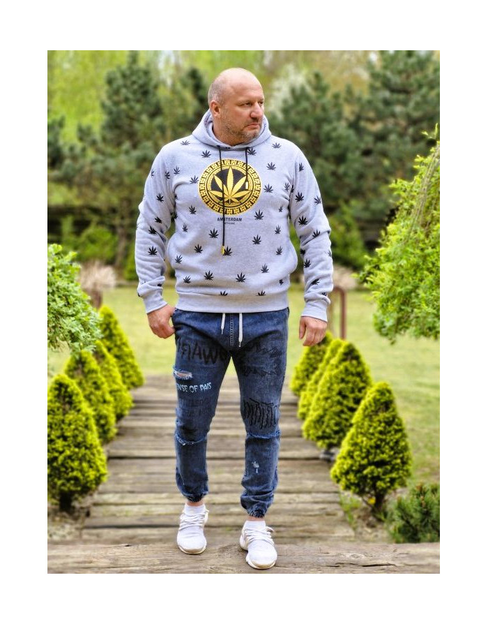SZARA BLUZA MĘSKA Z KAPTUREM KANGURKA ZŁOTY NADRUK SPEDBOY 2263